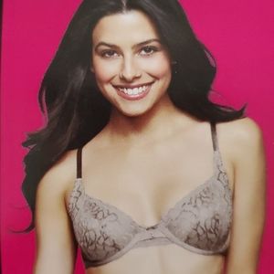 Lily of France bra size 36C